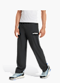 adidas Terrex Multi Liteflex Hose Schwarz 142806 2