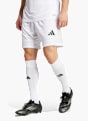 adidas Squadra 25 Shorts Weiß 142722 2