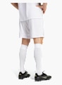 adidas Squadra 25 Shorts Weiß 142722 3