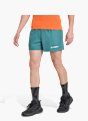 adidas Terrex Multi Shorts Grün 142803 2