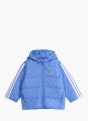 adidas Essentials 3-Streifen Wattierte Jacke Kinder Blau 141462 1