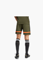 adidas Squadra 25 Shorts Grün 132280 3