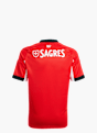 adidas Benfica Lissabon 25/26 Kids Heimtrikot Rot 141567 2