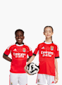 adidas Benfica Lissabon 25/26 Kids Heimtrikot Rot 141567 3