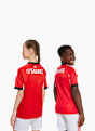 adidas Benfica Lissabon 25/26 Kids Heimtrikot Rot 141567 4