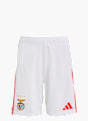 adidas Benfica Lissabon 25/26 Kids Heimshorts Weiß 141568 1