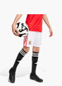 adidas Benfica Lissabon 25/26 Kids Heimshorts Weiß 141568 2