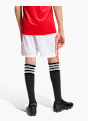 adidas Benfica Lissabon 25/26 Kids Heimshorts Weiß 141568 3