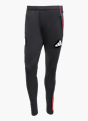 adidas Ajax Tiro 25 Competition Trainingshose Schwarz 142584 1