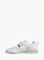 adidas Adipower 3 Gewichtheberschuh Weiß 156567 3