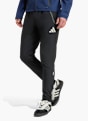 adidas Arsenal Tiro 25 Competition Vis Tech Travel Hose Schwarz 142861 2