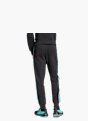 adidas MERCEDES - AMG PETRONAS FORMULA ONE TEAM DNA HOSE Schwarz 131613 3