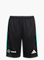 adidas MERCEDES - AMG PETRONAS FORMULA ONE TEAM DNA SHORTS Schwarz 143359 1