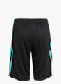 adidas MERCEDES - AMG PETRONAS FORMULA ONE TEAM DNA SHORTS Schwarz 143359 2