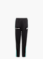 adidas MERCEDES - AMG PETRONAS FORMULA ONE TEAM DNA HOSE Schwarz 132901 1