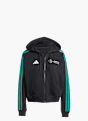 adidas MERCEDES - AMG PETRONAS FORMULA ONE TEAM DNA KAPUZENJACKE Schwarz 133834 1