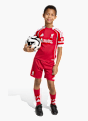 adidas FC Liverpool 25/26 Kids Mini-Heimausrüstung Rot 141544 3