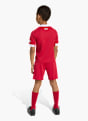 adidas FC Liverpool 25/26 Kids Mini-Heimausrüstung Rot 141544 4