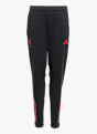adidas FC Liverpool Tiro 25 Competition Kids Trainingshose Schwarz 141553 1