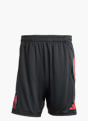 adidas Liverpool FC Tiro 25 Competition Trainingsshorts Schwarz 141559 1
