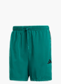 adidas Essentials 3-Streifen Chelsea Shorts Grün 131990 1