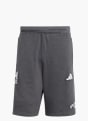 adidas FC Liverpool US Pack Shorts Grau 143302 1