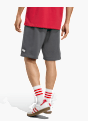 adidas FC Liverpool US Pack Shorts Grau 143302 3