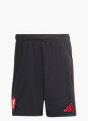 adidas Liverpool FC 25/26 Auswärtsshorts Schwarz 141539 1