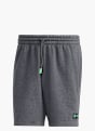 adidas MERCEDES-BENZ AMG PETRONAS FORMULA ONE TEAM PREMIUM SWEAT SHORTS Grau 141298 1