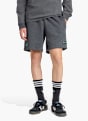 adidas MERCEDES-BENZ AMG PETRONAS FORMULA ONE TEAM PREMIUM SWEAT SHORTS Grau 141298 2