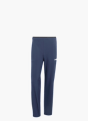 adidas Terrex Multi Liteflex Hose Blau 156486 1