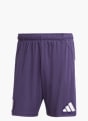adidas Manchester United 25/26 Auswärtsshorts Lila 142547 1