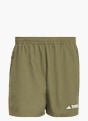 adidas Terrex Multi Shorts Olive 156484 1