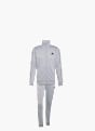 adidas DAYREADY TRAININGSANZUG Grau 156423 1