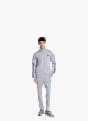 adidas DAYREADY TRAININGSANZUG Grau 156423 2