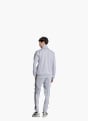 adidas DAYREADY TRAININGSANZUG Grau 156423 3