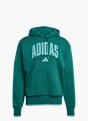 adidas Collegiate Hoodie Grün 143314 1