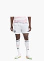 adidas FC Bayern München 25/26 Auswärtsshorts Weiß 132421 2