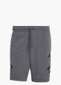 adidas Future Icons 3-Streifen Shorts Grau 156374 1