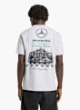 adidas MERCEDES-AMG PETRONAS FORMULA 1 TEAM GRAPHIC 02 T-SHIRT Grau 169540 3