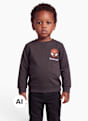 Spider-Man Sweatshirt Grau 163535 1