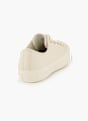 Converse Sneaker Gold 95366 5