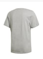 Nike T-shirt cinzento 5815 2
