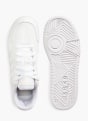 adidas Sneaker weiß 7766 3