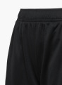 Nike Къси панталони Черен 5084 4