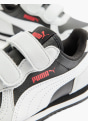 Puma Sneaker bianco 6095 5