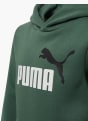 Puma Camisola com capuz verde escuro 5226 3