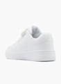 Champion Sneaker weiß 8321 3