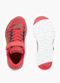 Vty Sneaker Rojo 593 3