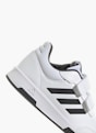 adidas Superge Bela 23235 7